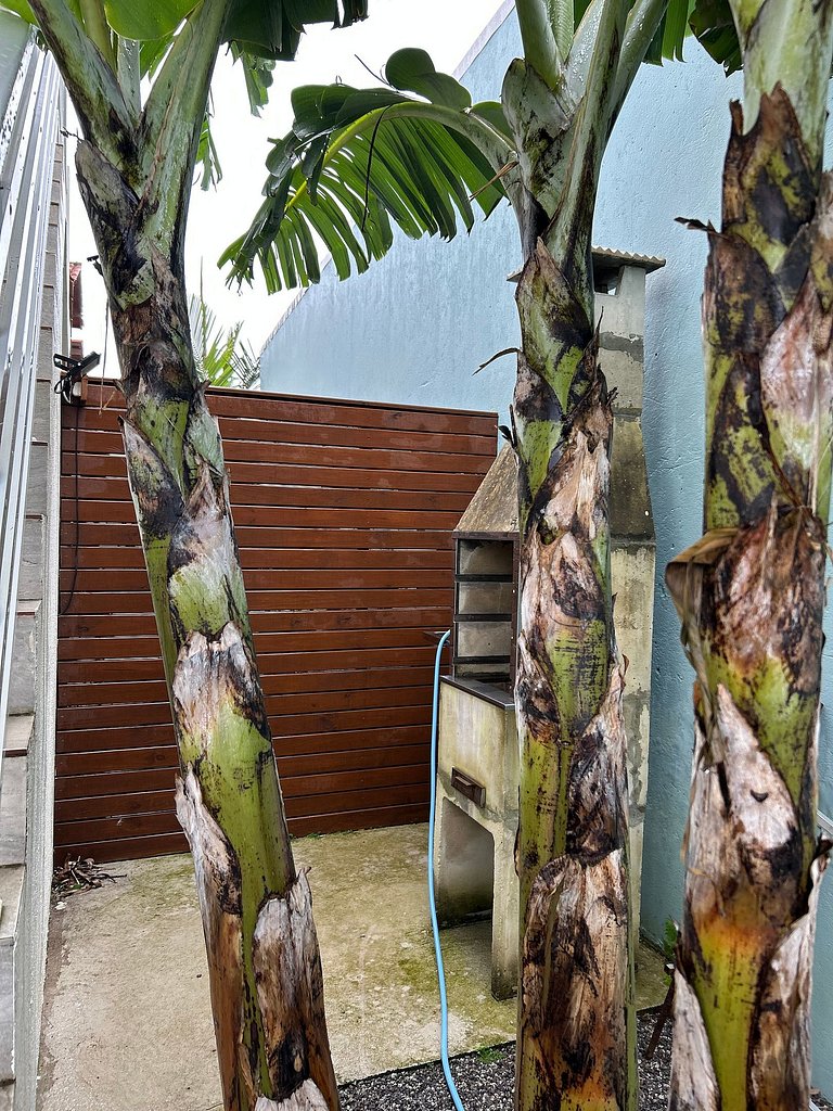 apartamento 2 quartos com ar , mar aberto